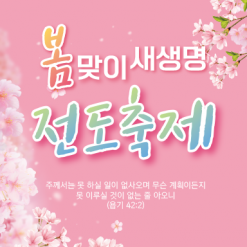 전도,환영-19